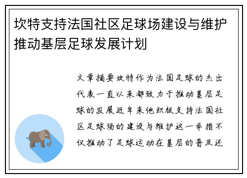 坎特支持法国社区足球场建设与维护推动基层足球发展计划