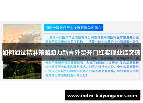 如何通过精准策略助力新春外贸开门红实现业绩突破