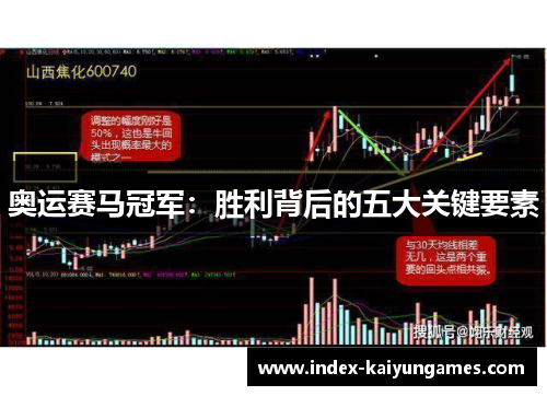 奥运赛马冠军：胜利背后的五大关键要素