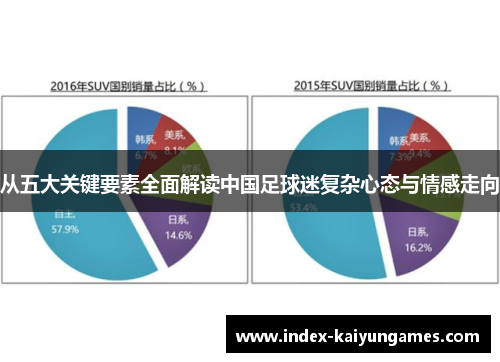 从五大关键要素全面解读中国足球迷复杂心态与情感走向