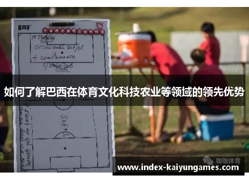 如何了解巴西在体育文化科技农业等领域的领先优势