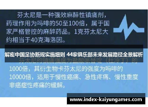 解密中国足协新规实施细则 44家俱乐部未来发展路径全景解析 解密中国足协新规实施细则 44家俱乐部未来发展路径全景解析
