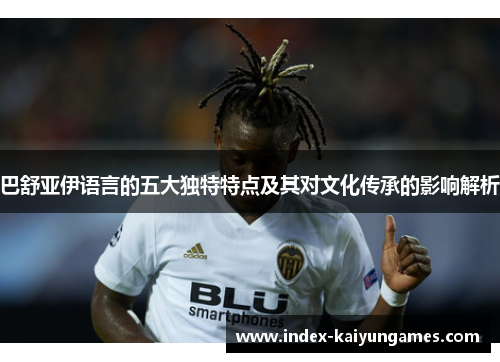 巴舒亚伊语言的五大独特特点及其对文化传承的影响解析