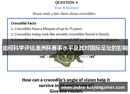 如何科学评估澳洲杯赛事水平及其对国际足坛的影响 如何科学评估澳洲杯赛事水平及其对国际足坛的影响