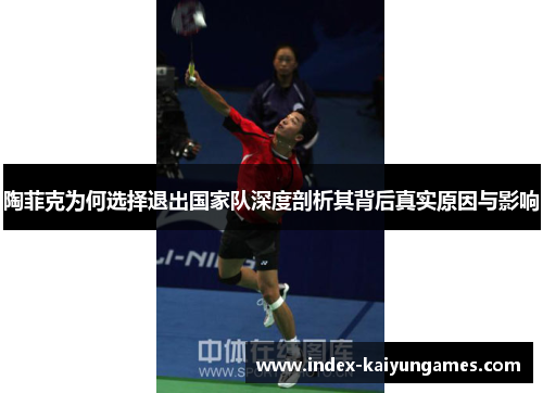 陶菲克为何选择退出国家队深度剖析其背后真实原因与影响