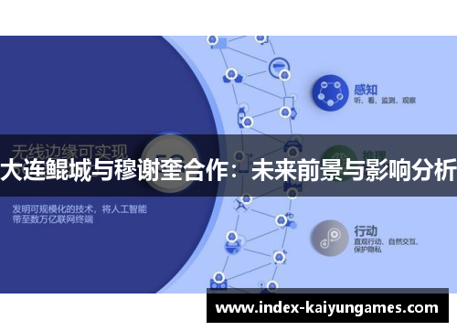 大连鲲城与穆谢奎合作：未来前景与影响分析